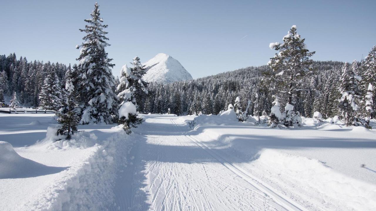 Haus Excelsior Top 29 Seefeld no Tirol Exterior foto